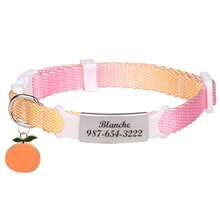 1pc Customized Gradient Colorful Cat Collar, Nylon Material Cat Collar, Can Customize Pet Name, Contact Info, Address, Anti-Lost Engraved Pet Collar, Suitable For Medium & Small Cats - Multicolor - View 10