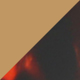 Tortoise Shell Frame Tea