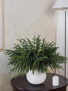 أغصان صنوبر نورفولك الحقيقية، أغصان صنوبر نورفولك اصطناعية للمس الحقيقي، أغصان صنوبر نورفولك مزيفة لصنع الحرف اليدوية والديكور المنزلي الداخلي والخارجي في عيد الميلاد، ديكورات عيد الميلاد وديكور الغرفة