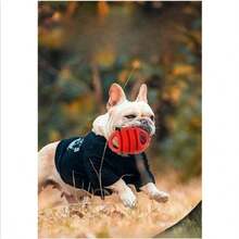 Juguetes para perseguir perros, juguetes interactivos de entrenamiento con forma de rugby para morder y jugar, hechos de materiales resistentes a la mordida y al juego, fáciles de limpiar y flotan, suaves y cómodos para el desgaste y la limpieza de los dientes, esenciales para la persecución y el juego al aire libre de mascotas, adecuados para perros de tamaño mediano y grande