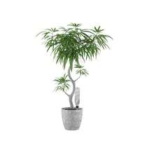 Hozelock Aquasolo Watering Cone (Multi Colour) - (TK1247) - Multicolor - View 10