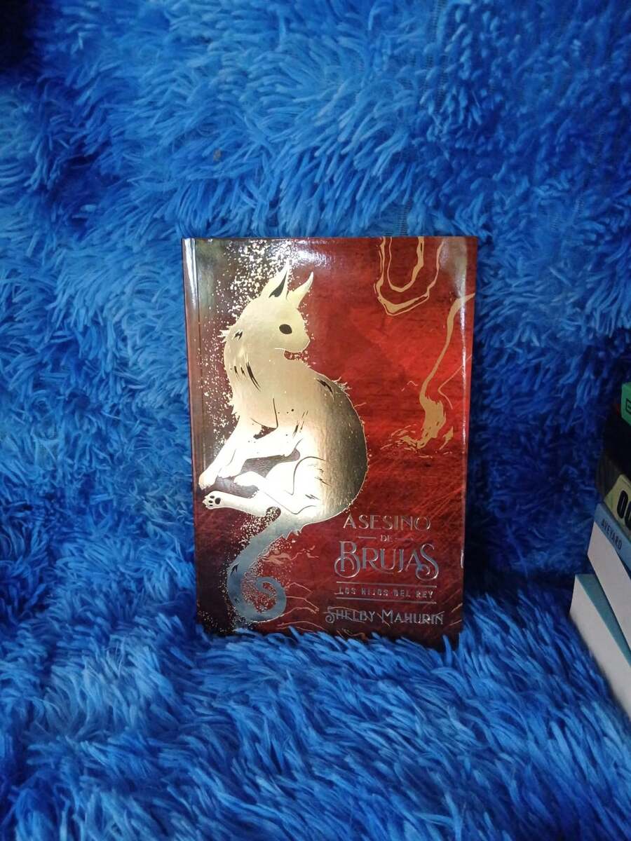 Asesino de brujas los hijos del rey nueva portada: novela fantástica edición especial, saga recomendada para jóvenes y adultos - Libro único - Ver 1