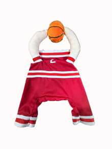 宠物万圣节服装，宠物篮球服，适合中小型犬