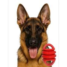 Juguetes para perseguir perros, juguetes interactivos de entrenamiento con forma de rugby para morder y jugar, hechos de materiales resistentes a la mordida y al juego, fáciles de limpiar y flotan, suaves y cómodos para el desgaste y la limpieza de los dientes, esenciales para la persecución y el juego al aire libre de mascotas, adecuados para perros de tamaño mediano y grande