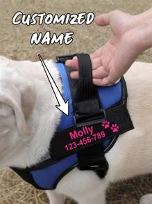 [定制] 多色宠物胸背带皮革标签贴片。可定制您的姓名及其他信息。户外狗狗胸背带配件。多种字体颜色可选。图案包括：爪子、皇冠、心形、骨头、领结、花朵和图标。 - 彩色 - 查看 4
