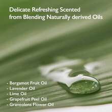 HaruHaru Wonder Black Bamboo Mist 5.07 Fl.Oz. Hydrating And Firming Skin Panax Ginseng For Clean Smooth Surface Korean Skincare Vegan Cruelty Free - 單選 - 查看 7