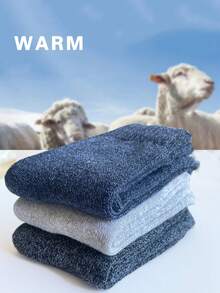 3双冬季保暖男士袜子加厚毛巾底袜男袜超厚纯色袜子厚款冬季雪地袜39-44秋季袜子 - 彩色 - 查看 13