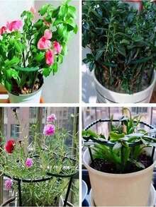 1/4/8pcs Plant Support Rack, Semi-Circle Plant Support Ring Plastic Plant Cage Trellis, Suitable For Small Plants, Flowers, Vegetables, Indoor Plants - Multicolor - View 9