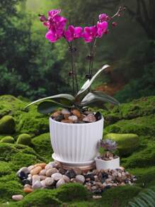 100/300/500/800g Colorful Pebbles Indoor Potted Green Plants Decorative Stones, Outdoor Gardens Used As Paving Stones, Aquarium Fish Tank Turtle Tank Decorative Sand Stones, Ramadan Courtyard Decorative Stones, Garden Bonsai Filled With Polished Stones - Multicolor - View 10