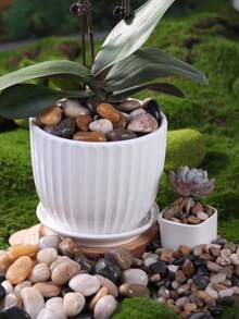 100/300/500/800g Colorful Pebbles Indoor Potted Green Plants Decorative Stones, Outdoor Gardens Used As Paving Stones, Aquarium Fish Tank Turtle Tank Decorative Sand Stones, Ramadan Courtyard Decorative Stones, Garden Bonsai Filled With Polished Stones - Multicolor - View 5