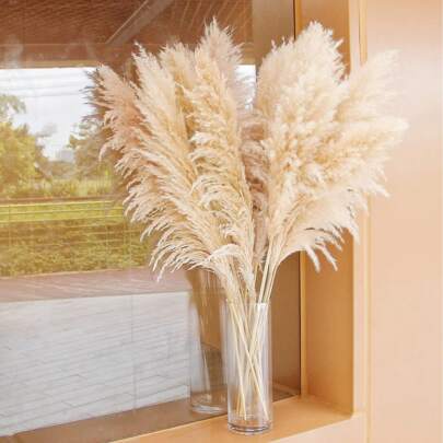 5/10/15/20pcs 22 Inch Tall Beige Pampas Grass Stems, Add Boho Vibe To Your Space - Pampas Grass Is An Ideal Choice For Floral Arrangements, Vases, Weddings And Creating A Bohemian Atmosphere At Home. Christmas And Valentine's Day Wedding Decor