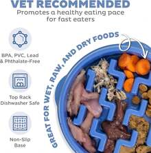 Outward Hound Fun Feeder Slo Bowl, Tazón lento para perros mediano, 2 tazas, azul