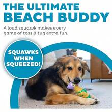 Outward Hound By Charming Pet Squawkers Henrietta Latex Squeaky Rubber Chicken Dog Toy, Funny Interactive Holiday Toy Dogs, Large Size - Bà ngoại Hippie Chick - Xem 2