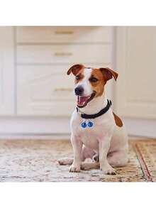 5/3/1 pieza Cascabeles multicolor para mascotas, dijes para collares de gato, adorno decorativo navideño, ornamento artesanal DIY, regalo de San Valentín para novio/novia, mujer, decoración de habitación, regalo de Navidad