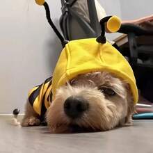 1pc Pet Bee Costume Hoodie, Cute Animal Pet COSPLAY Outfit - Yellow - View 5