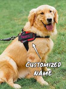 [定制] 多色宠物胸背带皮革标签贴片。可定制您的姓名及其他信息。户外狗狗胸背带配件。多种字体颜色可选。图案包括：爪子、皇冠、心形、骨头、领结、花朵和图标。 - 彩色 - 查看 5