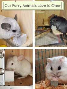 1pc/4pcs/6pcs Square & Clover Shaped Grinding Stone, Suitable For Hamsters, Rabbits, Guinea Pigs, Cats And Other Small Pets - Multicolor - View 4