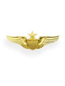 1pc Eagle Element Pilot Style Pins, Also As Pins For Backpack Or Button Pins, Cute Clothing & Bag Accessories