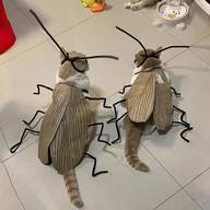 2 Pieces Outfit Set - Turn Your Feline Friend Into A Cockroach |   ,, Easy To Use |   Suitable Fun Photos, Halloween And Gifts |   Polyester Material, Costume, Best