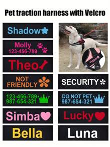 [定制] 多色宠物胸背带皮革标签贴片。可定制您的姓名及其他信息。户外狗狗胸背带配件。多种字体颜色可选。图案包括：爪子、皇冠、心形、骨头、领结、花朵和图标。 - 彩色 - 查看 2
