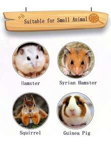 1pc/4pcs/6pcs Square & Clover Shaped Grinding Stone, Suitable For Hamsters, Rabbits, Guinea Pigs, Cats And Other Small Pets - Multicolor - View 5