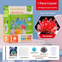 1件装晶体生长科学实验套装，趣味亲子互动实验道具，化学实验晶体生长原理，情商与智力发展，动手玩具 - 生日礼物、复活节礼物、万圣节礼物、圣诞节礼物，完美礼物之选