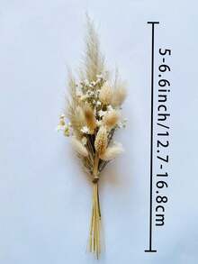 热销迷你干花花束 1-12 件套，适用于波西米亚婚礼、餐桌中心装饰、小干芦苇、手工干花、生日蛋糕伴娘礼盒、花瓶装饰