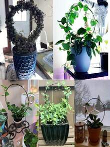 1个心形植物支架 - 轻便支架，休闲风格室内/室外花园支撑架，带立柱，经久耐用且轻巧，适用于盆栽植物、草坪护理和家居装饰，心形设计，结构坚固，园艺工具，园艺配件，植物架，园艺用品 - 彩色 - 查看 6