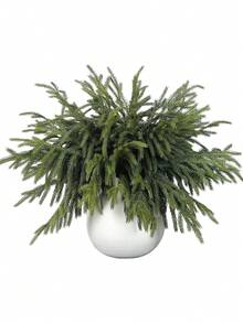 أغصان صنوبر نورفولك الحقيقية، أغصان صنوبر نورفولك اصطناعية للمس الحقيقي، أغصان صنوبر نورفولك مزيفة لصنع الحرف اليدوية والديكور المنزلي الداخلي والخارجي في عيد الميلاد، ديكورات عيد الميلاد وديكور الغرفة