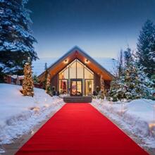 Alfombra roja de alta calidad para festivales importantes, días inolvidables, ceremonias de apertura, fiestas de cumpleaños, bodas, desfiles de moda, etc. Múltiples usos, también para decoración de baño y cocina, alfombra de cocina