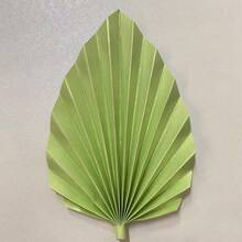 2 Phụ kiện trang trí bánh hình quạt giấy, Phụ kiện trang trí bánh hình lá cọ giả, Thích hợp cho trang trí bánh theo phong cách Bohemian, Trang trí bánh hình lá, Nhiều màu sắc, Thích hợp cho trang trí bánh sinh nhật, Tiệc rửa tội, Tiệc cưới, Nghỉ hưu và các loại trang trí bánh khác (Hồng, Đỏ, Vàng, Xanh lam hoàng gia, v.v.) - Nhiều màu - Xem 17