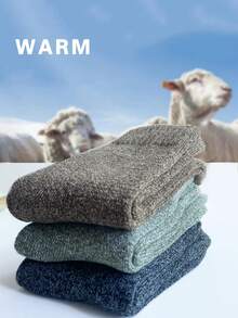 3双冬季保暖男士袜子加厚毛巾底袜男袜超厚纯色袜子厚款冬季雪地袜39-44秋季袜子 - 彩色 - 查看 16