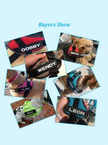 [定制] 多色宠物胸背带皮革标签贴片。可定制您的姓名及其他信息。户外狗狗胸背带配件。多种字体颜色可选。图案包括：爪子、皇冠、心形、骨头、领结、花朵和图标。 - 彩色 - 查看 3