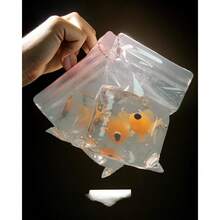 2pcs- Transparent Goldfish Bag, Pinch And Squeeze, Stress Relieving Toys, Slow Rebound, Wet And Fidget Toys, Funny Prank Gift For Friends, Halloween Gifts, Christmas Gifts - 2PCS - View 1