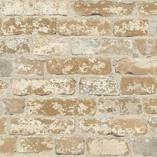 Wall Paper - Brown - View 13
