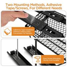 Organizador de especias de cocina con 2 niveles extraíbles - Cajón para especias con sistema de almacenamiento, fácil instalación, material duradero para armarios (26 x 15 x 21,8 cm)