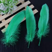 100 件散装工艺羽毛 - 120 件 6-8 英寸散装鹅毛，用于 DIY 万圣节装饰、珠宝、角色扮演和服装配饰，黑色鹅毛，天然散装 6-8 英寸 15-20 厘米，用于工艺品 DIY 角色扮演婚礼派对万圣节装饰鹅 Nagoire 羽毛 - 彩色 - 查看 19