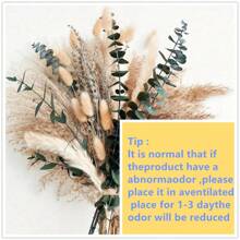 80 件蒲苇日常装饰餐桌装饰桌面装饰和干花绿色蒲苇客厅小装饰人造花、餐桌装饰、中心装饰、人造花、塑料花礼物生日毕业、秋季装饰、秋季