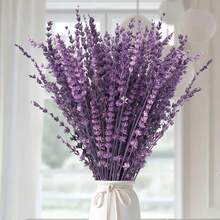 200 piezas de semillas de flores de lavanda dulce púrpura, semillas de flores de jardín, semillas púrpuras, flores de aromaterapia - 200 - Ver 1