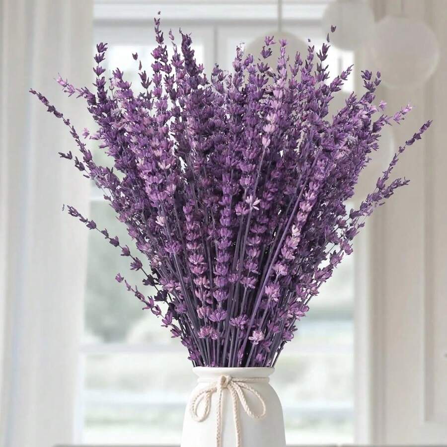 200 piezas de semillas de flores de lavanda dulce púrpura, semillas de flores de jardín, semillas púrpuras, flores de aromaterapia - 200 - Ver 1