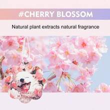 Sachê Perfumado de Longa Duração - Cartões Perfumados com Animais Fofos para Guarda-Roupas, Gavetas e Carro