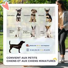 Poussettes pour animaux de compagnie - Rouge - Voir 2