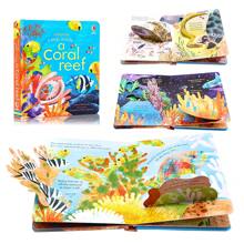 Lachilly 窥探海岸 | 深海 | 珊瑚礁 | 池塘 | 大海 | 春季主题纸板书 - Usborne 翻翻书 | 互动教育书籍 | 3D 翻页图画书，适合 3-6 岁幼儿，适合初级阅读者 | 学前启蒙幼儿书籍 | 睡前阅读游戏