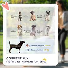 Poussettes pour animaux de compagnie - Gris - Voir 5