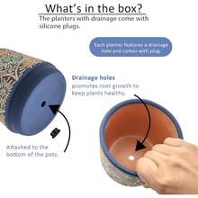 3 Piece Ceramic Plant Pots Indoor Pots Set With Drainage Holes, 5.7/4.7/3.5/Inch, Modern Decorative Pots Outdoor Plants Lilies, Cacti, Succulents, Snakes, And Bamboo (Blue) - Blue,red - 查看 5