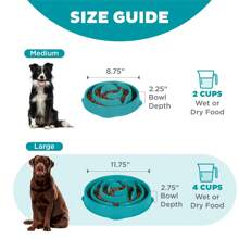 Outward Hound Large 4-Cup Turquoise Plastic Slow Feeder Dog Bowl, Lightweight & Portable - Blue - View 5