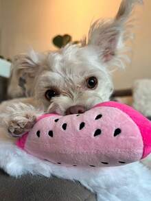 1pc Watermelon Shaped Sound Making Toy For Pet Playtime - Multicolor - View 5