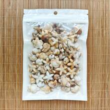 32/62pcs Bohemian Style Mixed Sea Turtle, Starfish And Seashell Shaped, Non-Fading Acrylic Double-Sided Beads, Suitable For Vacation And Daily Wear, Great Gift For Friends, Holidays, Jewelry Making