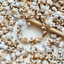 32/62pcs Bohemian Style Mixed Sea Turtle, Starfish And Seashell Shaped, Non-Fading Acrylic Double-Sided Beads, Suitable For Vacation And Daily Wear, Great Gift For Friends, Holidays, Jewelry Making