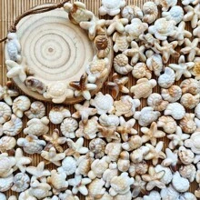 32/62pcs Bohemian Style Mixed Sea Turtle, Starfish And Seashell Shaped, Non-Fading Acrylic Double-Sided Beads, Suitable For Vacation And Daily Wear, Great Gift For Friends, Holidays, Jewelry Making